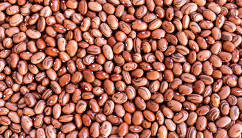 Organic Red Kidney Beans -  BS International  - India
