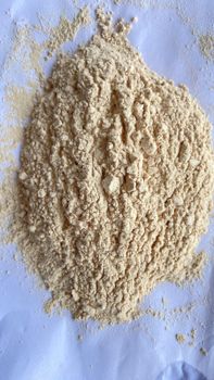Dehydrated Garlic Powder - Maitri Foods - India