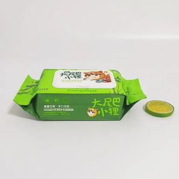 Biodegradable Bamboo Wet Wipes Disinfecting Baby Wipes - Baoding Clean & Soft Paper Product Technology Co., Ltd. - China