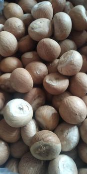 “Premium Betel Nuts (Areca Nuts) – High-Quality Whole & Split Nuts for Chewing & Traditional Use” - THE GREEN INTERNATIONAL LIMITED - Tanzania