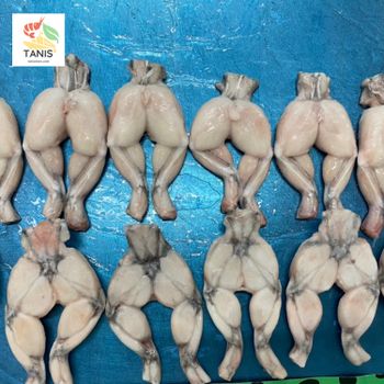 Natural Frog Meat skinless, Frozen Frog legs high quality s Grade A Shape Piece Style Frozen Content Frog Origin - TANIS IMPORT & EXPORT COMPANY LIMITED - Vietnam