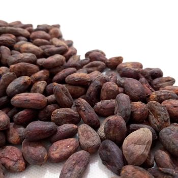Cocoa Beans – product photo, Fermented Cocoa Beans products found from trusted suppliers, wholesalers, manufacturers & exporters Listing