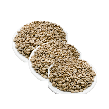 Green Arabica Coffee Beans Hot Selling Wash Process High Quality S16 with 98% Maturity Cherries Wholesale From Vietnam Low Price – product photo, Low Sugar Coffee products found from trusted suppliers, wholesalers, manufacturers & exporters Listing