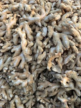 Dry Ginger - Karnataka Ginger International Trader - India