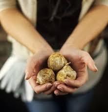Product - BULBOS DE LOS ANDES SA - Global
