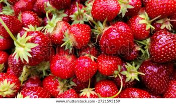 fresh Onion, Garlic, Sweet Potato, Potato, Orange, Mango, Fresh and Frozen Strawberry, Frozen Peas, Frozen Mango - iso 9001 - Egypt