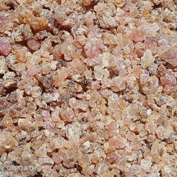 Talha arabic Origin Sudan Packaging Size 50kgs Quality Grade Grade 1 Minimum Order Quantity 50 - Nexlogix  LTD - Kenya