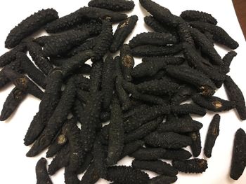 Dried Sea Cucumber Type SEA CUCUMBER Shelf Life 12 - Agroral import export srl  - Romania