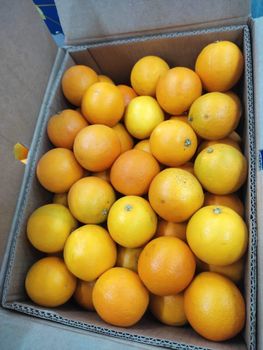 orange – product photo, Orange products found from trusted suppliers, wholesalers, manufacturers & exporters Listing