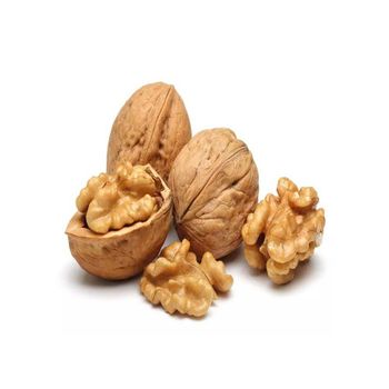 Top Grade Wholesale Walnuts For Sale In Cheap Price - GOLDEN STAR BV - South Africa