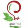 Product - ASKOXYLAKIS ANT. EMMANOUIL - Greece