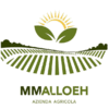 Product - MM ALLOEH, AZIENDA AGRICOLA BIO - Italy