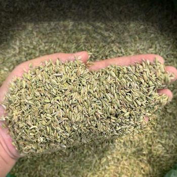 Cumin Seed Grade A Weight 50 Kg Place of Origin THAILAND Shelf Life 2 YEARS, 24 Months Minimum Order Quantity 500 Kg Certifications Iso, Haccp, Sgs -  DAEWKAEW PANTAMANG Co., Ltd - Thailand