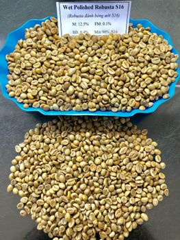 Vietnam Robusta S16 Wet Polished Grade 1 - Vietnam Robusta Blue Dragon - VIET THIEN COFFEE VIETNAM - Vietnam