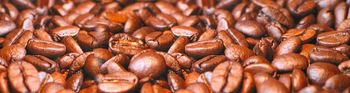 Product – product photo, Milo Chocolate Drink products found from trusted suppliers, wholesalers, manufacturers & exporters Listing
