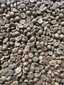 Robusta green beans – product photo, Long Green Beans products found from trusted suppliers, wholesalers, manufacturers & exporters Listing