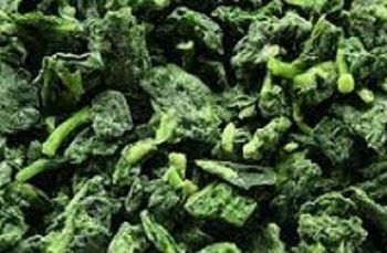 frozen spinach , donuk ıspanak - ISTPORT GIDA TEDARIK LOJISTIK - Turkey