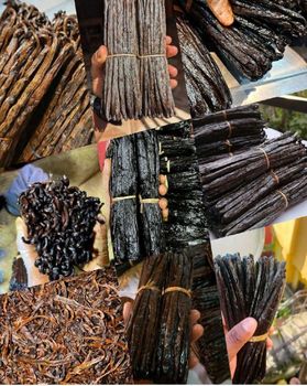 Discover the rich aroma and exceptional quality of Madagascar Gourmet Vanilla. ✨ 14 cm+ • High Vanillin • Premium Qualit - Premium Madagascar Vanilla - Madagascar