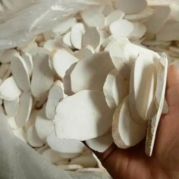 BEST OFFER - FROZEN CASSAVA ROOT ORIGIN VIETNAM BULK QUANTITIES READY FOR EXPORT - AL JABLI TRADING COMPANY LIMITED - Tanzania