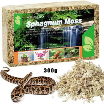 High-Quality Horticultural Decorative Premium Sphagnum Moss for Garden Succulents & Reptiles - Jinan Sphagnum Horticulture Co., Ltd - China
