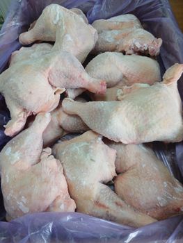 Heavy hen chicken leg quarters, wings, whole chicken - Riverside - Thailand