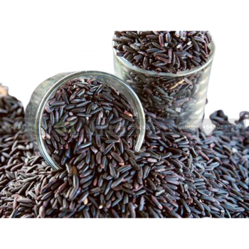 Black Brown Rice Nutritious Food, Helps Lose Weight And Keep In Shape Very Effectively, Rice Soft, Quick Cooked Rice, Easy Eat - G&G CONCEPT CO.,LTD - Vietnam