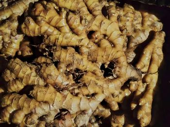 Fresh Ginger（Chinese origin), 150g & up, Export standard,10kg/Carton o。"Bright yellow, 100% fresh" o . - Fermani - China