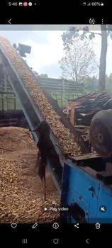 Wood chip - Yose - Indonesia
