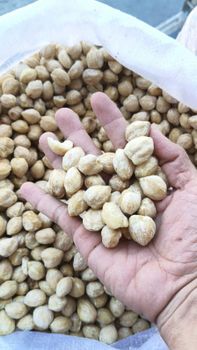 CANDLENUT - 9120119281083 - Indonesia