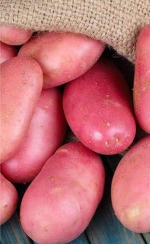 potato – product photo, Potato products found from trusted suppliers, wholesalers, manufacturers & exporters Listing