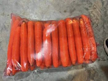 Carrot - —- - Iran