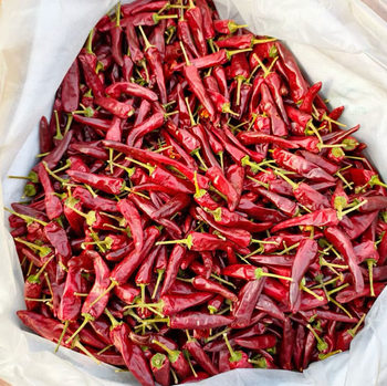 Best Quality Red Chilli Peppers –Bold Colour, Fresh Heat 20kg Reliable Quality Chilli for Global Markets - Sosa Merchant Solutions - Austria