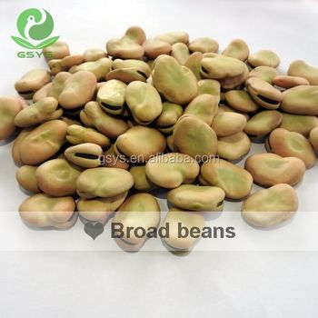 Golden supplier of dry Fava Beans /Broad Beans in shell 50-60 - Gansu Yusheng Agricultural Products Co., Ltd. - China