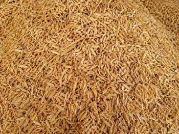 RICE HUSK - CV BIAN LALA MANDIRI - Indonesia