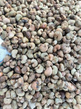 Cashew Nut – product photo, Cashew Nut Kernel products found from trusted suppliers, wholesalers, manufacturers & exporters Listing