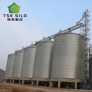 Corrugated Steel Silos Sheets Grain Silos for Sale Usage Solid Origin China Trademark TSE Silo Brand Tse Application Farm - Shandong Shelley Grain Steel Silo Co., Ltd. - China