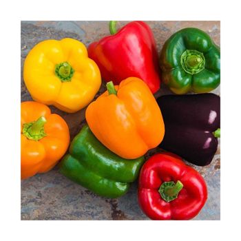 High Quality Fresh Flavorful Pack Frozen Vegetables Red Green Yellow Bell Pepper - Mundus Exports Pty Ltd - South Africa