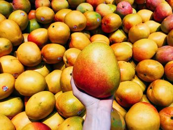 Farm Fresh Kent Mangos Delicious Tropical Harvest For Smoothies Desserts And Premium Fruit Markets from TRADECENTRIC LLC Farm Fresh Kent Mangos Delicious Tropical Harvest For Smoothies Desserts And Premium Fruit Markets - TRADECENTRIC LLC - United States