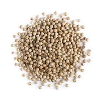 Top Grade Quality White Pepper Dried 100% Natural with Export Standard - Medcompex Gmbh - United Kingdom