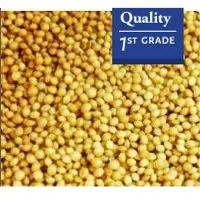 Amaranth Seeds - Mdeca Group SRL - Argentina