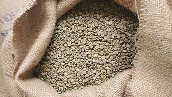 Vietnam Robusta Coffee