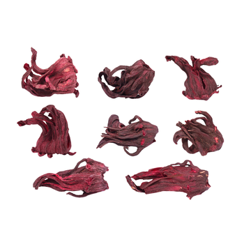 Hibiscus Dried Flower from TERRAMINER GROUP,INC Hibiscus Dried Flower - TERRAMINER GROUP,INC - United States