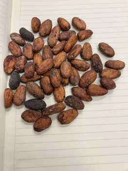 Wholesale Supplier Premium Quality Cocoa Beans from JOHN JAMARION EMPIRE LLC Wholesale Supplier Premium Quality Cocoa Beans - JOHN JAMARION EMPIRE LLC - United States