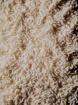Premium Grade Fresh Organic Sella Basmati Rice Supplied for Retailers and Food Distributors Worldwide - AGRONOVA - United States