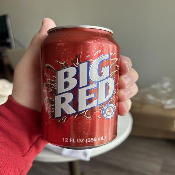 Wholesale Price Big Red Drinks Choice For Businesses Looking For Popular Refreshing Beverages With Great Taste - TRADECENTRIC LLC - United States