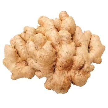 Fresh ginger root - NUTRIDIET LDA - United Kingdom