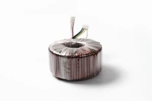 Hot Sale Toroidal Core Transformer for Home Appliances Electric Power - Shouning Songyan Electric Apparatus Co., Ltd. - China