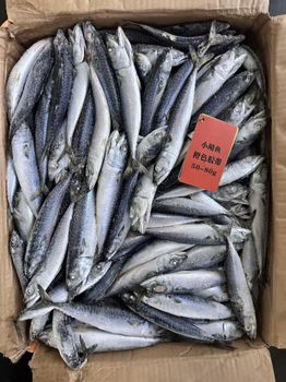 Tilapia, Pacific Mackerel - XWY Food - China