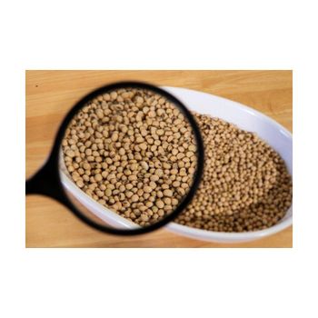 Non Gmo Soybeans / Soya Beans Soy bean Seeds and Soya bean Seeds - HIGHPROFILE AGRICULTURE SERVICES LIMITED - Tanzania