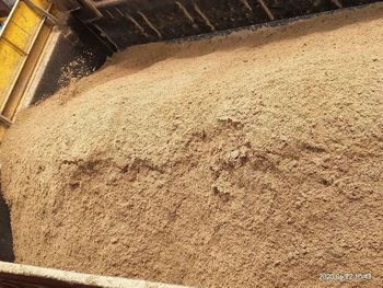Plaster River Sand Type Medium Color Brown Product River Sand Packaging Type Ton Usage/Application Plastering Country of Origin Made in - MSN Infra Logistics - India